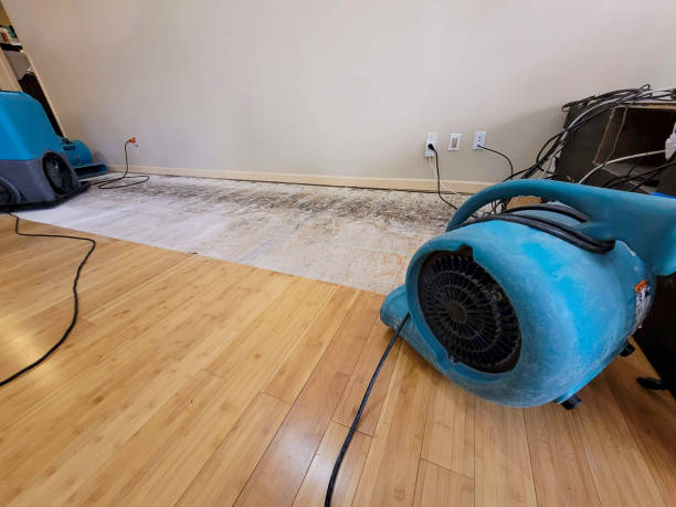 Professional Basement Flood Cleanup technician working in Sussex, NJ